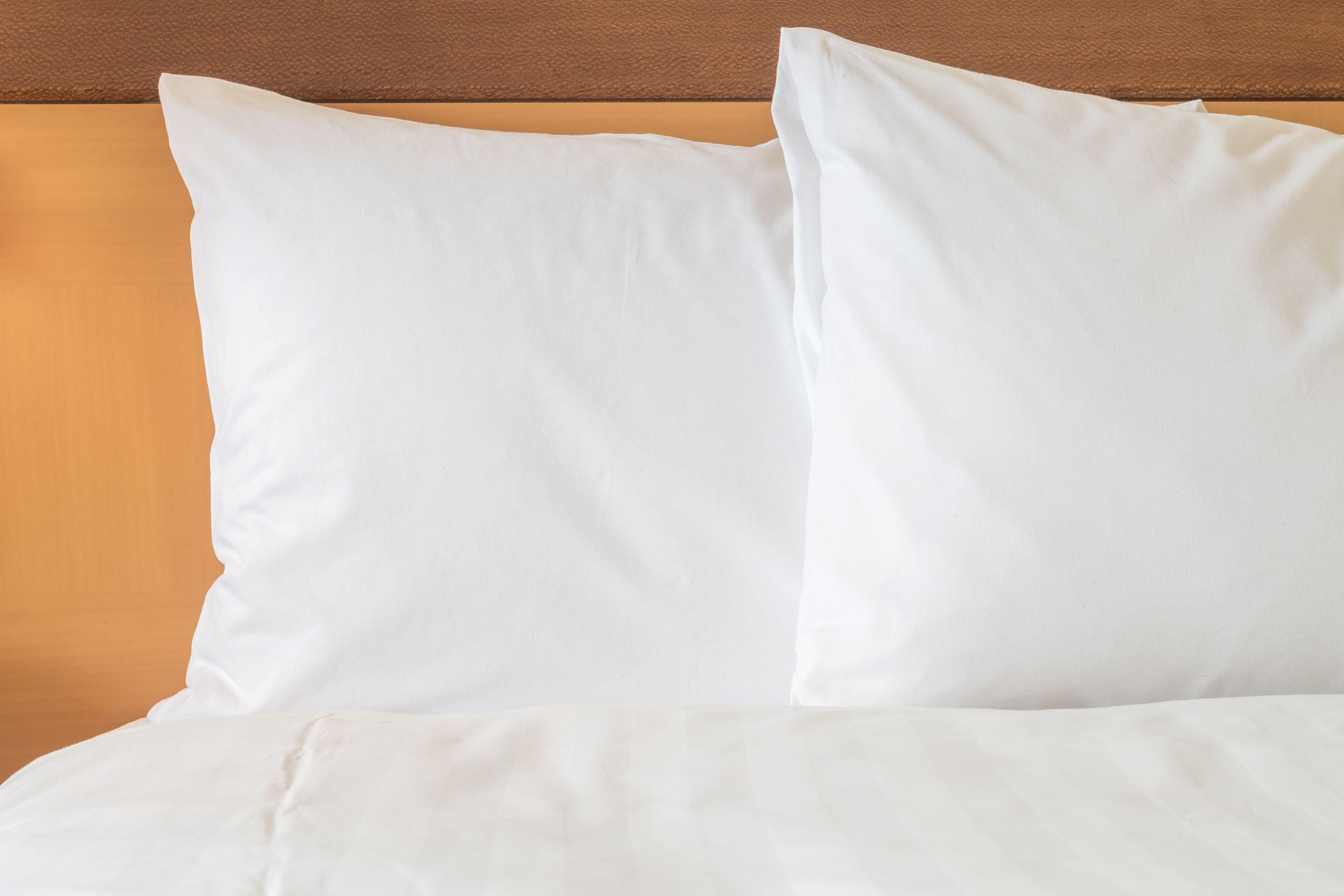 Holiday Inn Express Hotel & Suites Rochester By Ihg Bagian luar foto